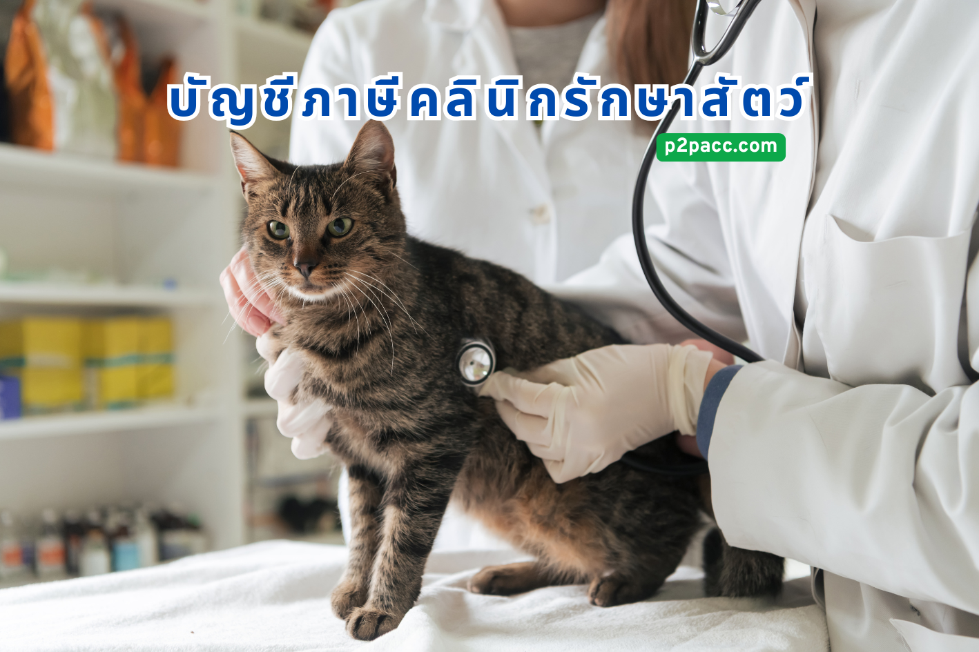บัญชีคลินิกรักษาสัตว์และการวางแผนภาษีโรงพยาบาลสัตว์
